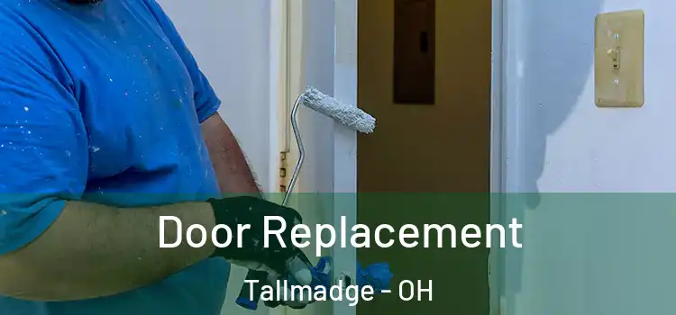  Door Replacement Tallmadge - OH
