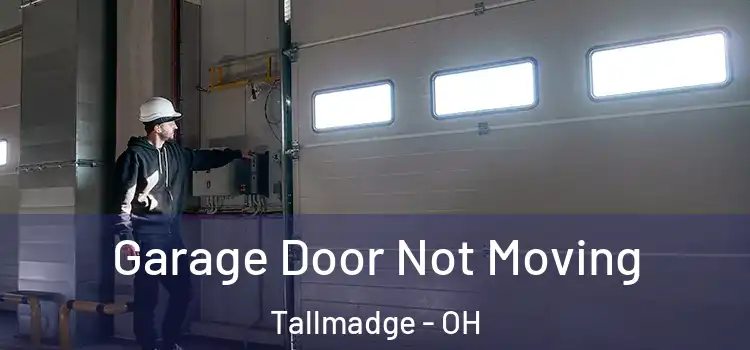  Garage Door Not Moving Tallmadge - OH