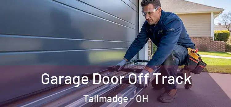  Garage Door Off Track Tallmadge - OH