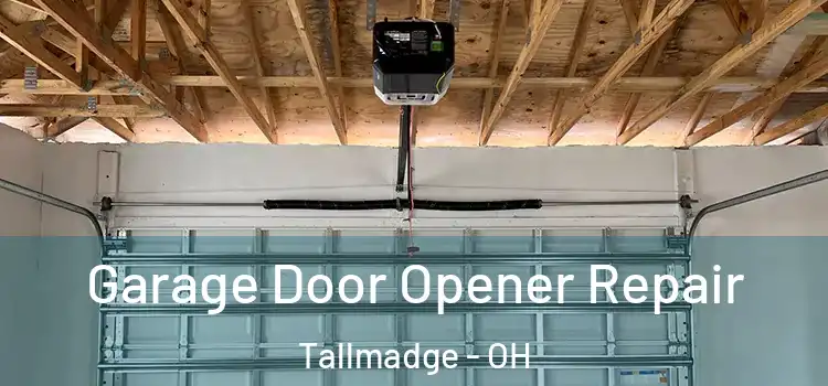  Garage Door Opener Repair Tallmadge - OH