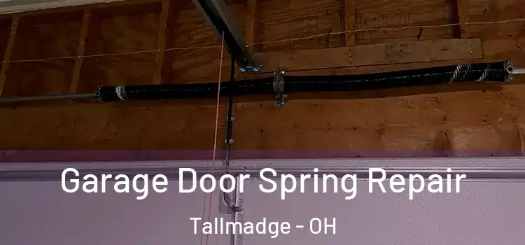  Garage Door Spring Repair Tallmadge - OH