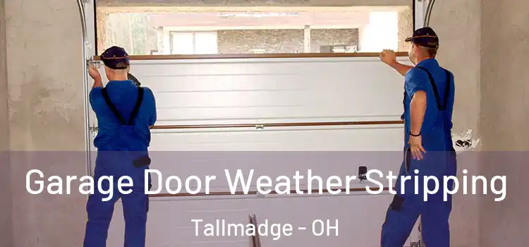  Garage Door Weather Stripping Tallmadge - OH