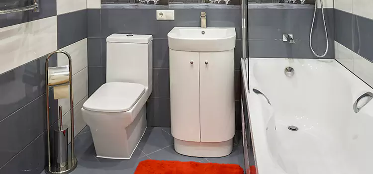 Hansgrohe Shaving Mirror Tallmadge