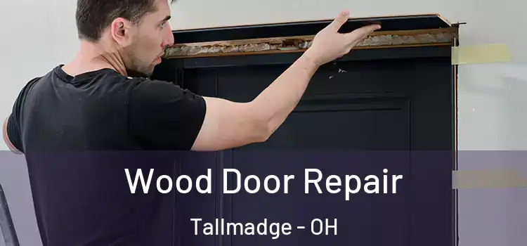  Wood Door Repair Tallmadge - OH